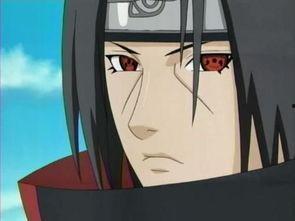 宇智鼬技能爆料老视频